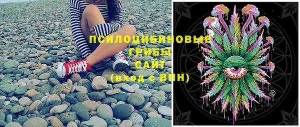 МДПВ Алзамай