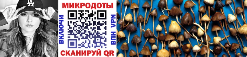 darknet как зайти  Ейск  Галлюциногенные грибы GOLDEN TEACHER 