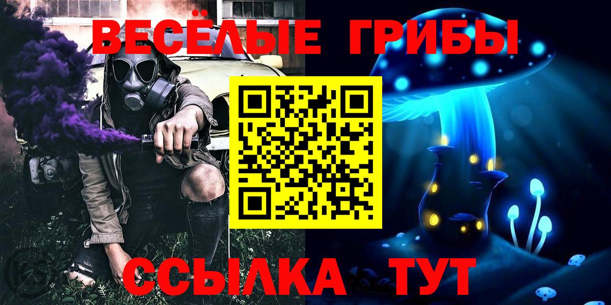 Ейск  Псилоцибиновые грибы мухоморы  Вход с VPN  Псилоцибиновые грибы MAGIC MUSHROOMS 