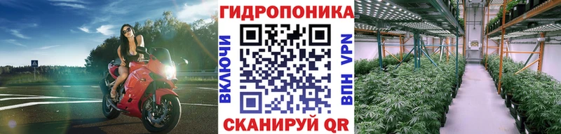 купить  сайты  Ейск  Канабис план 